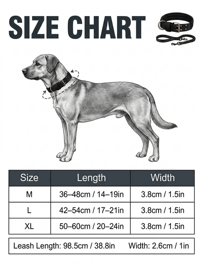 Tactical Nylon Dog Collar